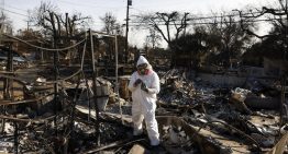 Los Ángeles: Devastadores incendios fueron extinguidos luego de tres semanas