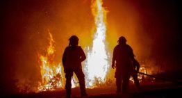 Bomberos fueron atacados a balazos durante incendio forestal en La Araucanía