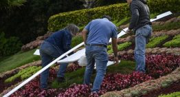 Comenzaron los arreglos del Reloj de Flores tras nueva vandalización