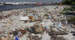 Islote con 80 toneladas de basura evidencia un drama sanitario en Río de Janeiro