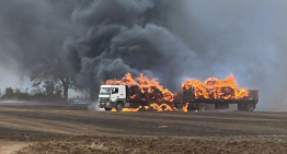 Senapred llamó a evacuar sector de Victoria por incendio forestal