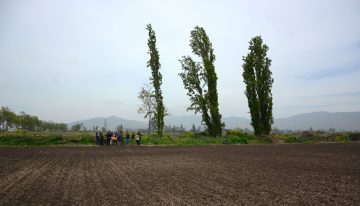 Justicia ambiental aprobó dos parques fotovoltaicos en Padre Hurtado