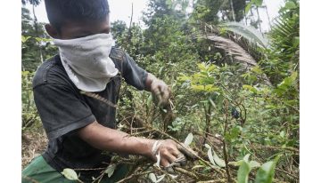 Colombia: una paz sin raíces