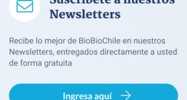 Dinero destinado a reconstruir el Mercado de Concepción se utilizó para financiar otros proyectos