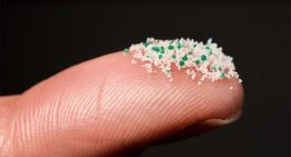 Los microplásticos inhalados inhabilitan a las células del sistema inmunitario pulmonar