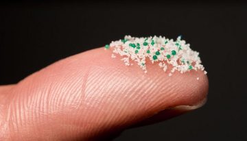 Los microplásticos inhalados inhabilitan a las células del sistema inmunitario pulmonar