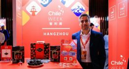 Aprendizaje, cultura y comercio: La experiencia de un chileno en China