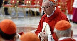 El cardenal Parolin impactado por la «serenidad» con la que Prevost aceptó ser papa