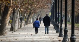 Ley «Papito Corazón»: En dos años, la justicia ha ordenado el pago de $2,5 billones
