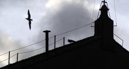 Las claves del cónclave que elegirá al nuevo papa