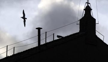 Las claves del cónclave que elegirá al nuevo papa