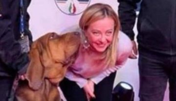 Conmoción en Italia por la muerte de Bruno, el héroe perruno premiado por Meloni que salvó nueve vidas