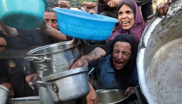 Un centenar de organizaciones humanitarias denuncian «una hambruna masiva» en Gaza