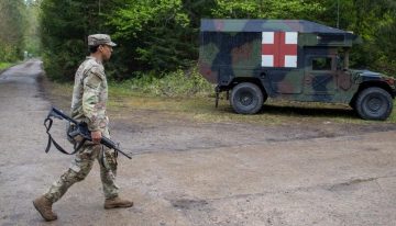 Austria abre el debate sobre adherirse a la OTAN