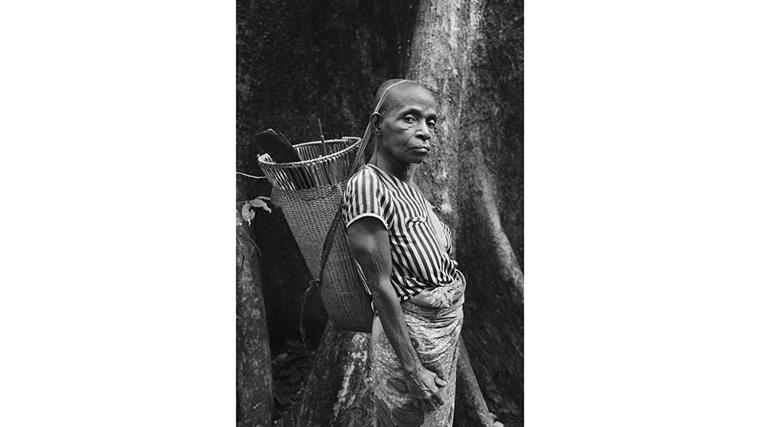 Con la espalda recta y la mirada firme, una mujer baaka carga su cesto de recolección entre los árboles milenarios de Dzanga Sangha