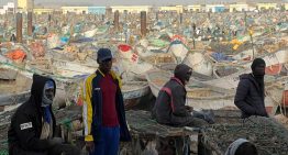 Desde Nuakchot y Nuadibú: cómo la falta de pesca empuja a los jóvenes africanos a las pateras