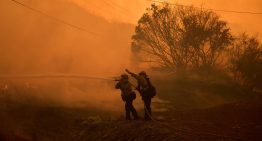 Dos grandes incendios forestales azotan California con más de 44 hectáreas afectadas