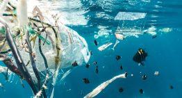 Chile lidera rechazo masivo al nuevo texto del tratado sobre contaminación de plásticos