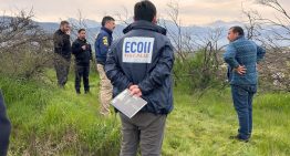 Detectives, fiscales y perros buscan cadáver correspondiente al cráneo hallado en Limache