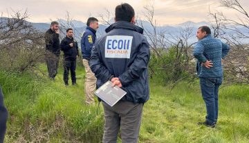 Detectives, fiscales y perros buscan cadáver correspondiente al cráneo hallado en Limache