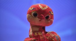 Efecto China: Los pormenores del Congreso Sinolatinoamericano realizado en Santiago