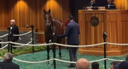 Haras de Carlos Heller logró récord en millonaria venta de ejemplar en remate de caballos fina sangre