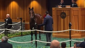 Haras de Carlos Heller logró récord en millonaria venta de ejemplar en remate de caballos fina sangre
