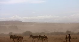 Mueren doce personas tras estrellarse una avioneta turística en Kenia Mueren doce personas tras estrellarse una avioneta turística en Kenia