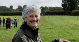 Los primeros recuentos sitúan a la abanderada de la izquierda Catherine Connolly como presidenta de Irlanda Los primeros recuentos sitúan a la abanderada de la izquierda Catherine Connolly como presidenta de Irlanda