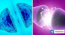 Científicos crean neurona artificial que imita de forma «casi exacta» a las reales Científicos crean neurona artificial que imita de forma «casi exacta» a las reales