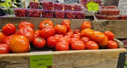 La Nueva York por las nubes que ha encumbrado a Zohran Mamdani