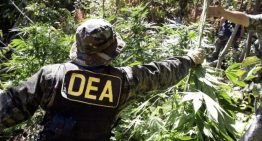 Bolivia reabre la puerta a la DEA para colaborar con Trump en la lucha contra el narcotráfico
