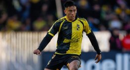 Un campeón en carpeta: U. de Chile y la UC tienen interés en Matías Palavecino