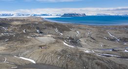 Fósiles revelan el misterio de una especie antártica que sobrevivió a la extinción de los dinosaurios