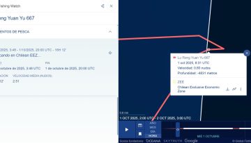 Denuncian a pesquera china por faenas ilegales en aguas chilenas detectadas por satélite