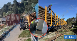 Sujetos sabotearon sistema de frenos de trenes: Transap se querella por robo de madera en Lota