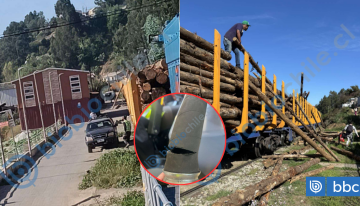Sujetos sabotearon sistema de frenos de trenes: Transap se querella por robo de madera en Lota