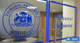 Ordenan detención de representantes de Inversiones Lampa por reanudar obras en humedal Puente Negro