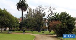 Parque Pümpin: municipio de Valparaíso arriesga millonaria indemnización por disputa con inmobiliaria