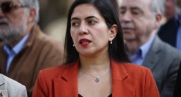 Megarreforma: Delfino apuntó a seguir debate de distribución de recursos a municipios tras fallo del TC