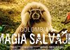Colombia Magia Salvaje, superando fronteras