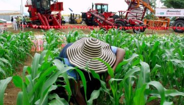 10 apuestas del agro para 2020