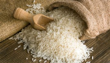 Producción de arroz será de más de 500.000 hectáreas en 2020
