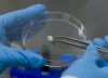 Tratamientos de última generación podrían quebrar sistema de salud