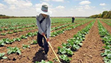 “El agro, pilar del posconflicto”: EE.UU.