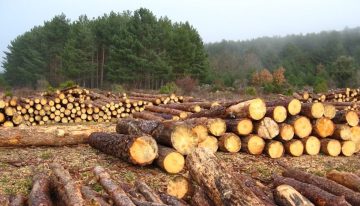 El 2017 deja un balance desalentador para el sector ambiental