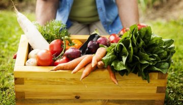 Unión de ministerios busca apoyar la exportación de productos agrícolas
