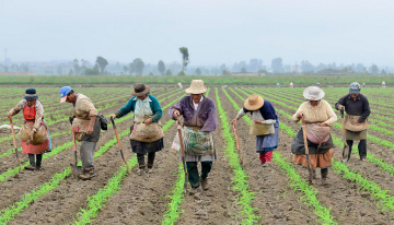 UE aliada para el desarrollo rural en Colombia