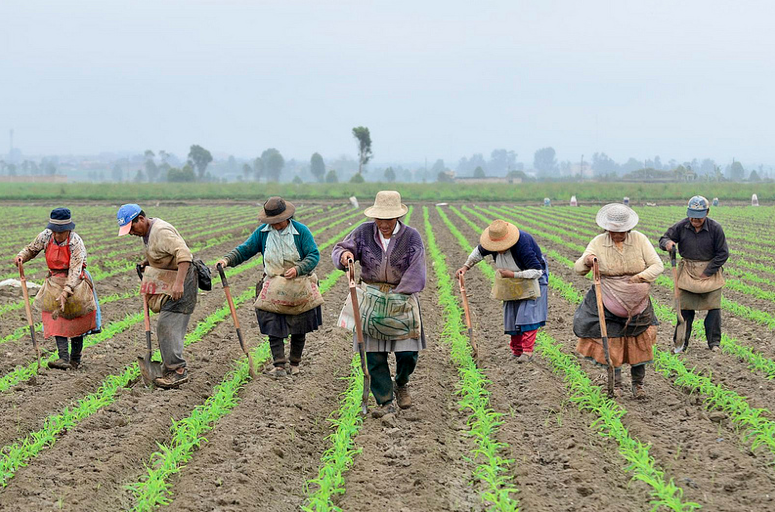 UE aliada para el desarrollo rural en Colombia - Colombia