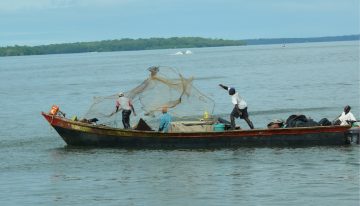 Cómo comprar pescado para semana santa